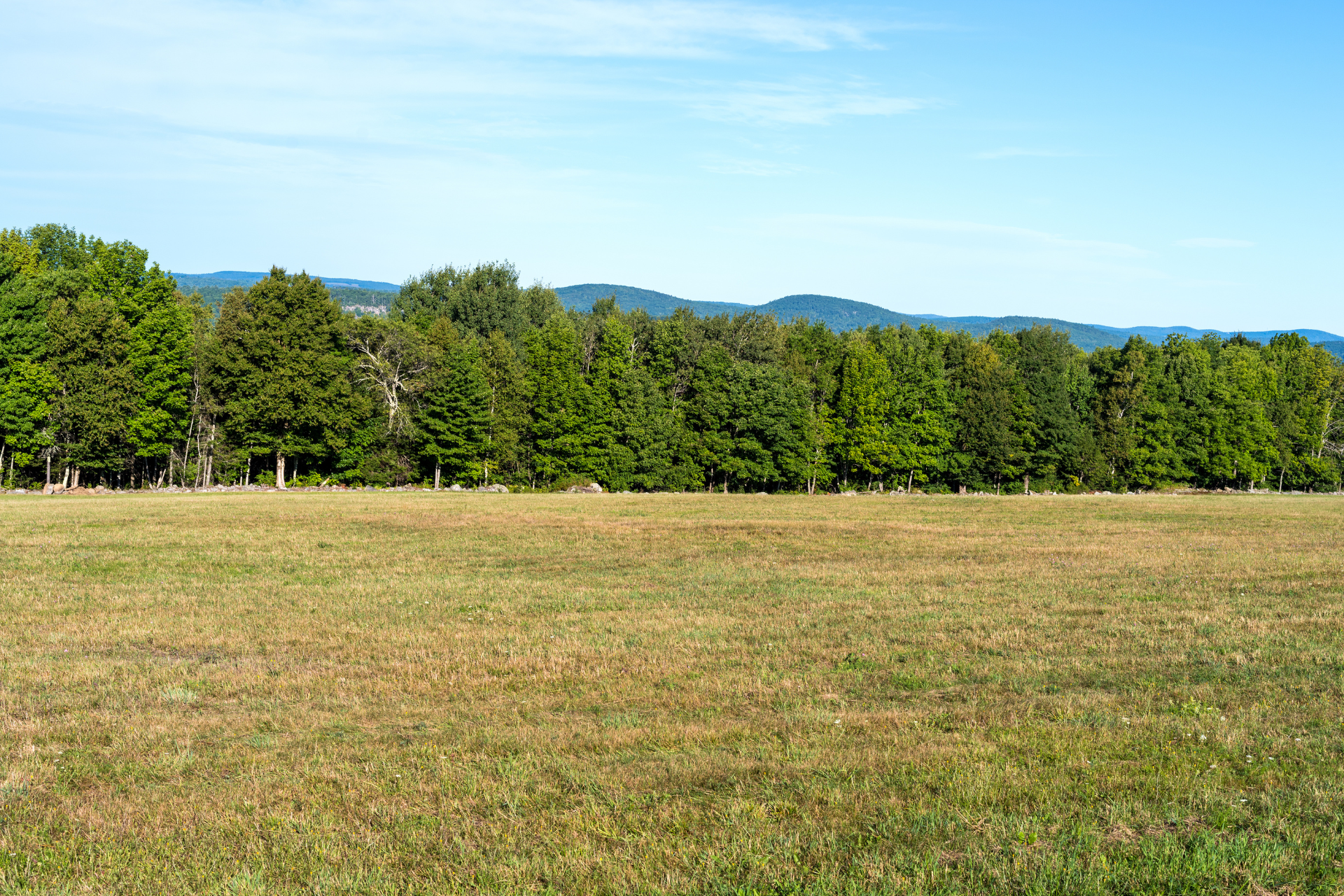 we-purchase-vacant-land